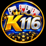 K116 Game