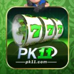 PK11 Game